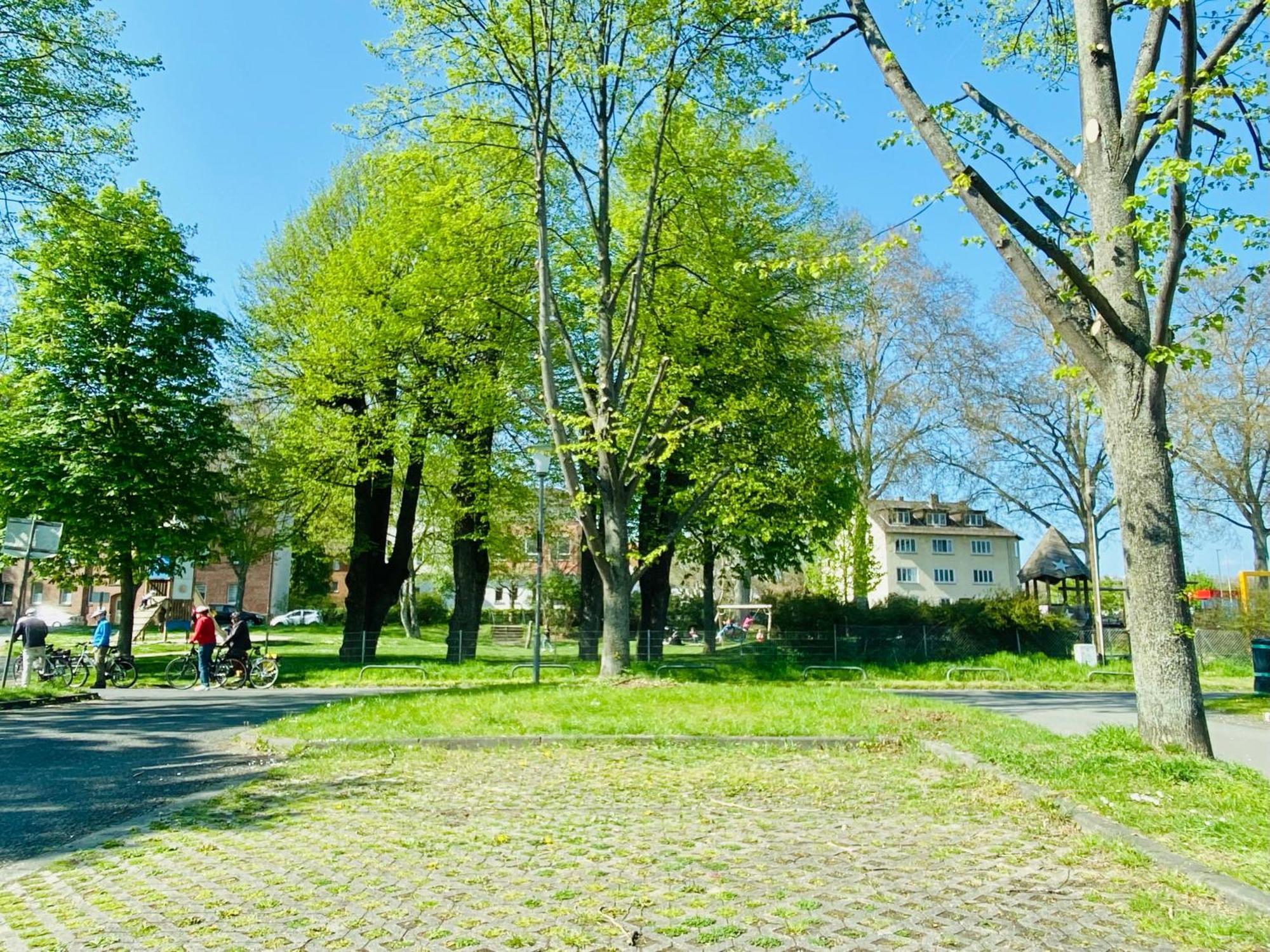 Kassel: Alles, Was Du Brauchst! Luaran gambar