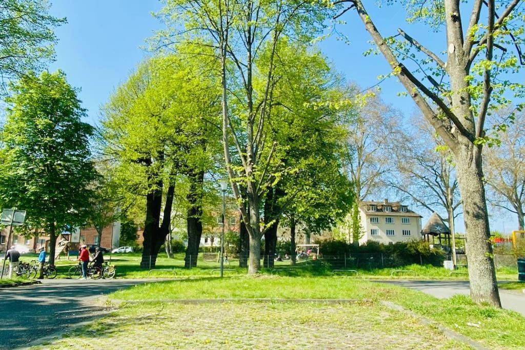 Kassel: Alles, Was Du Brauchst! Luaran gambar